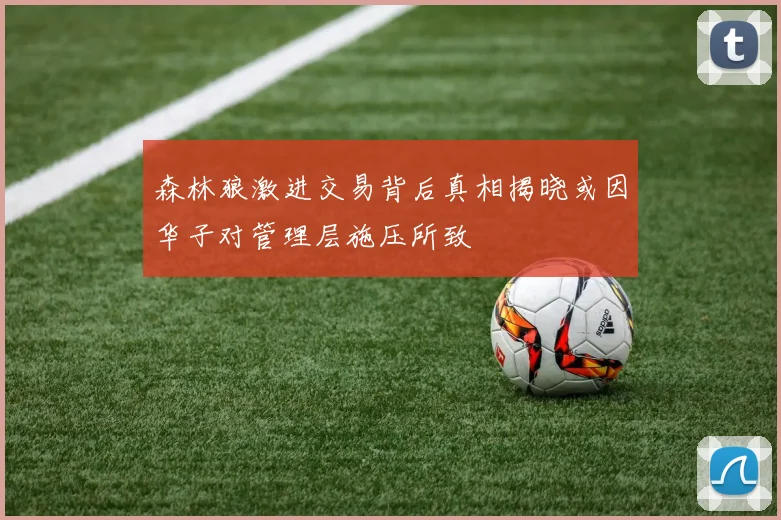 森林狼激进交易背后真相揭晓或因华子对管理层施压所致