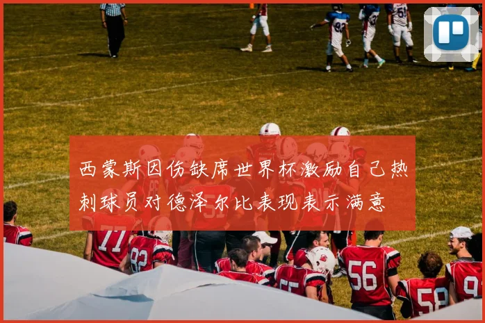 西蒙斯因伤缺席世界杯激励自己热刺球员对德泽尔比表现表示满意